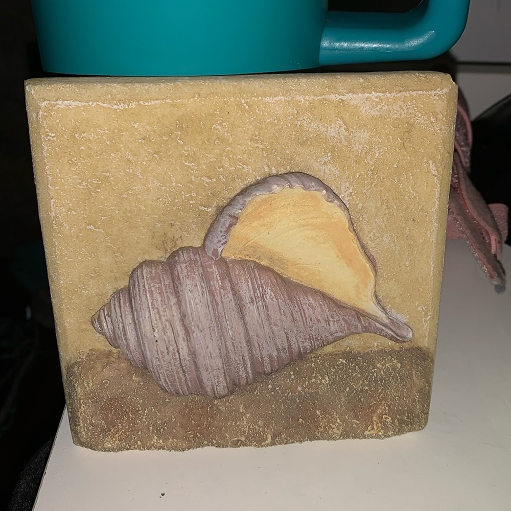 3D Seashell Wall Art in Tan and Cream